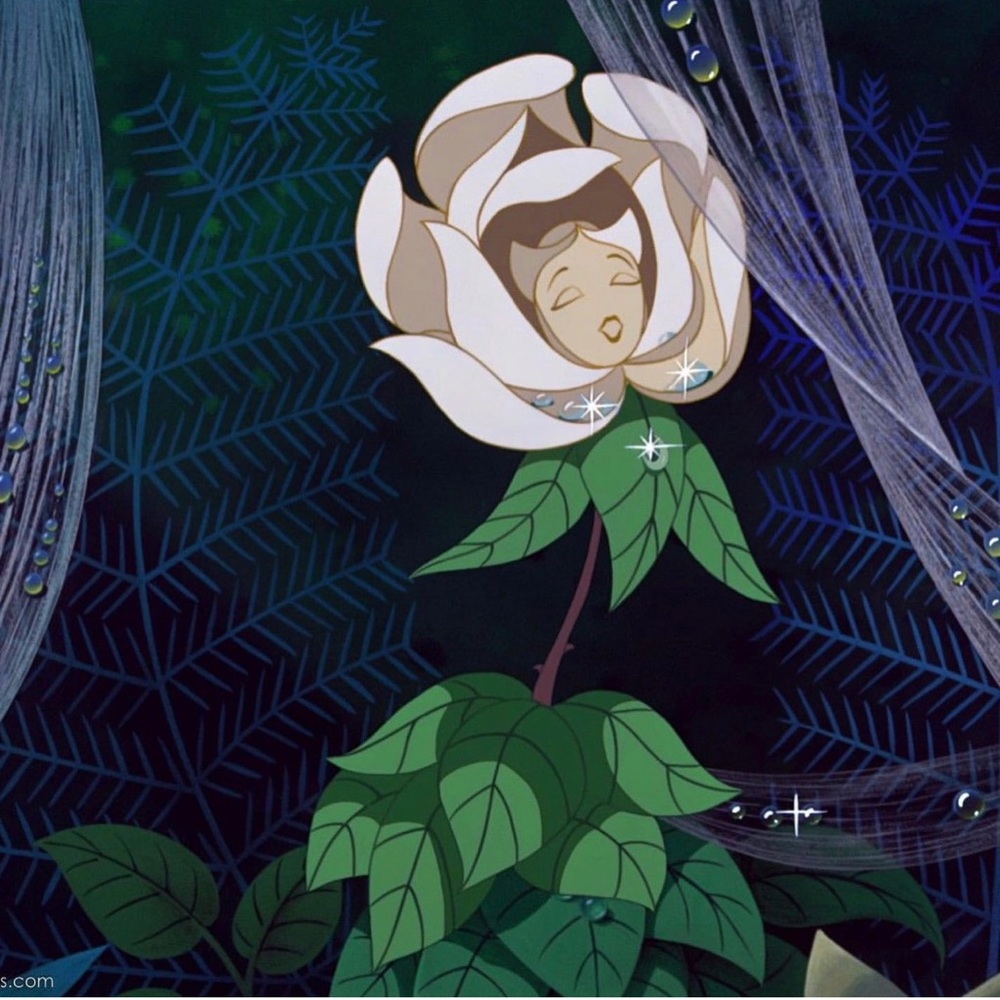 Meet your Posher, Brandi